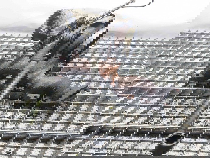 Turbosuflanta, 03G253010A, Vw Touran (1T1, 1T2) 2.0 tdi