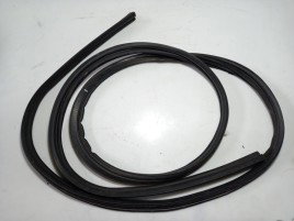 Cheder haion Nissan Juke 1.5 OEM 2010-2021