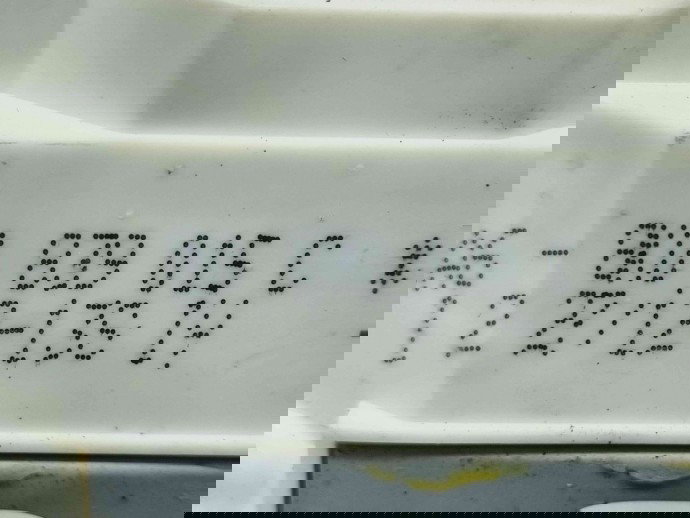 Broasca usa stanga spate Audi A8 D4 (4H2, 4H8, 4HC, 4HL) [Fabr 2009-2018] 8K0839015C