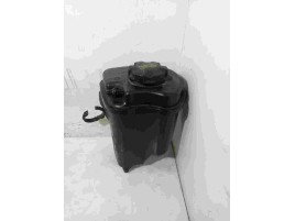 Vas expansiune BMW X5  3.0 D 13177552546 2007-2013