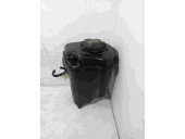 Vas expansiune BMW X5  3.0 D 13177552546 2007-2013