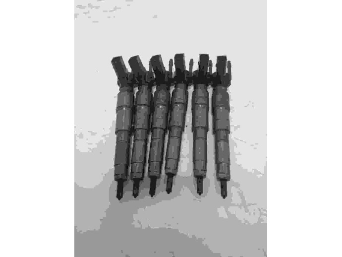 Injector BMW X5 3.0 D 780808901 2007-2013