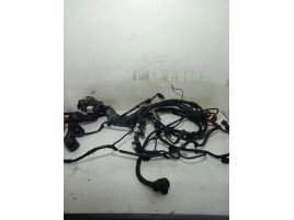 Instalatie electrica motor Audi A4 B7 2.0 BRE 8E1971074 2004-2008