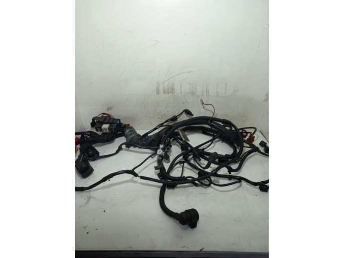 Instalatie electrica motor Audi A4 B7 2.0 BRE 8E1971074 2004-2008