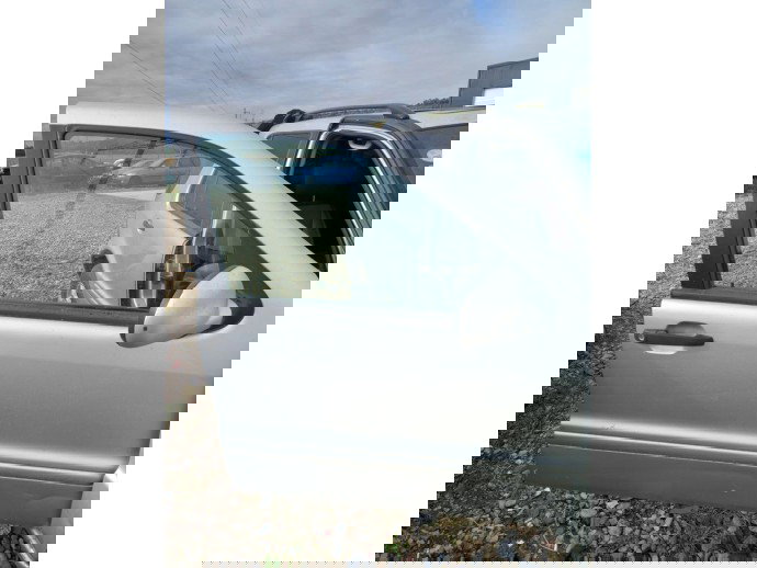 Usa dreapta fata Mercedes ML W163 2.7 CDI OEM 1998-2005