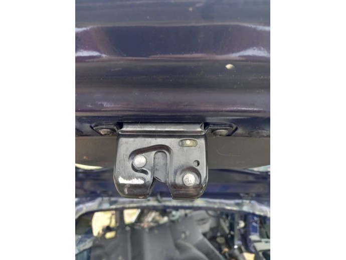 Broasca haion Dacia Duster 1.6 H4M OEM 2010-2017