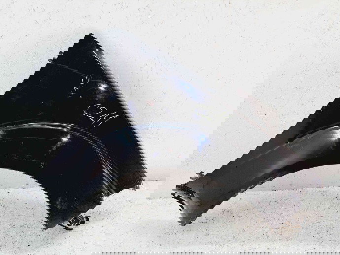 Aripa dreapta fata Nissan Navara (D40) [Fabr 2005-2014] GN0