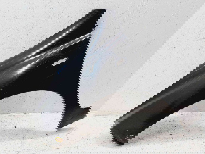 Aripa stanga fata Nissan Micra 3 (K12)  [Fabr 2003-2010] Z11