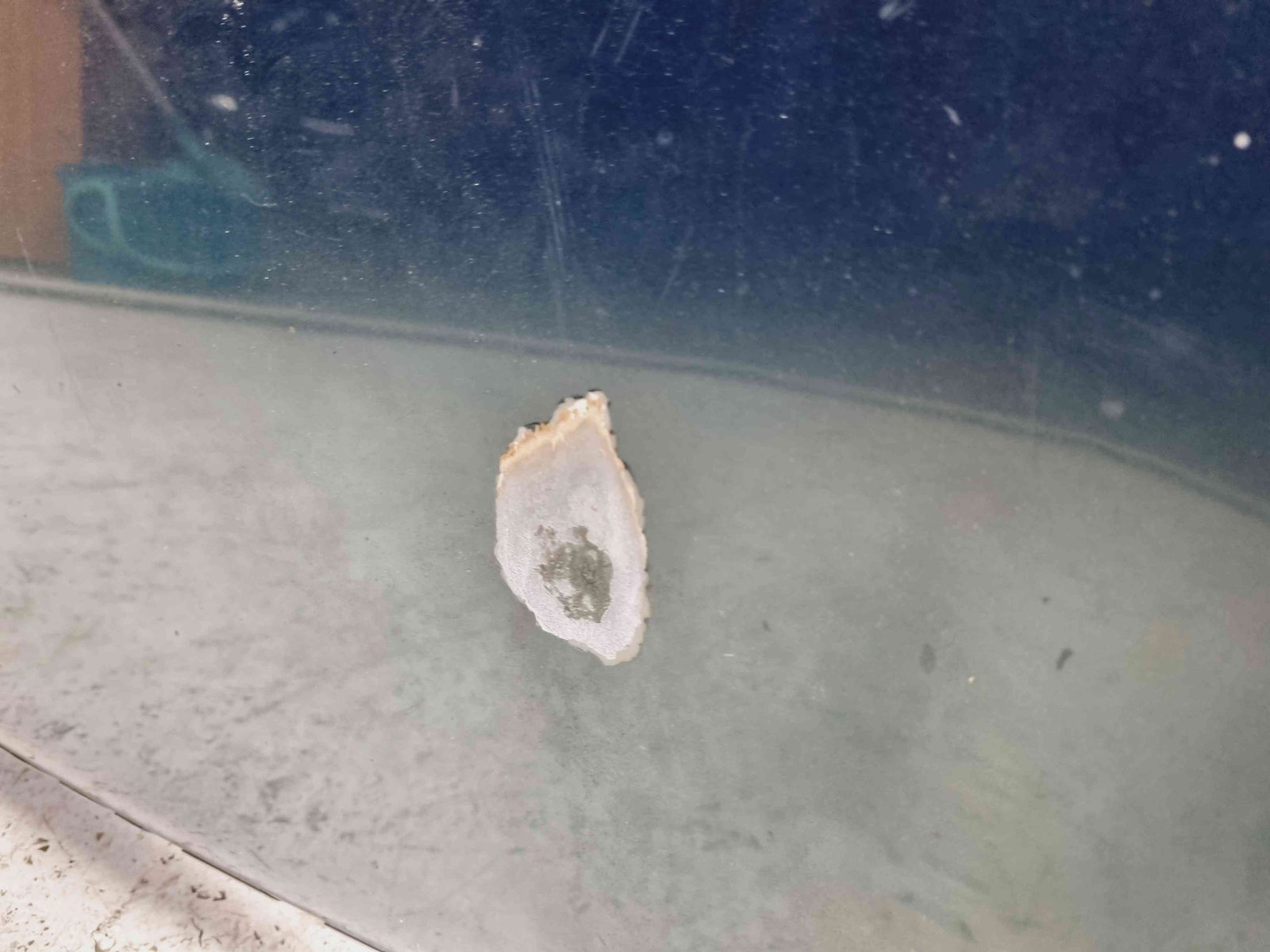 Capota LAND ROVER Freelander (LN) [Fabr 1998-2006] VERDE - imagine 4