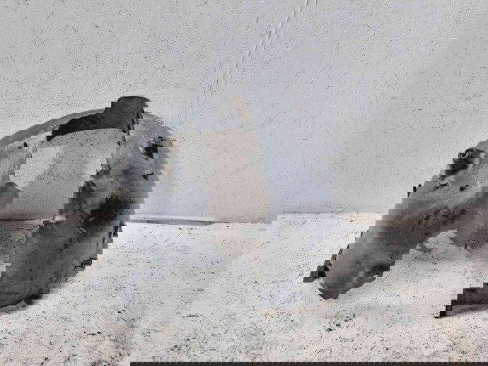 Carenaj roata stanga fata Peugeot 308 (II) [Fabr 2013-2020] 9677267980