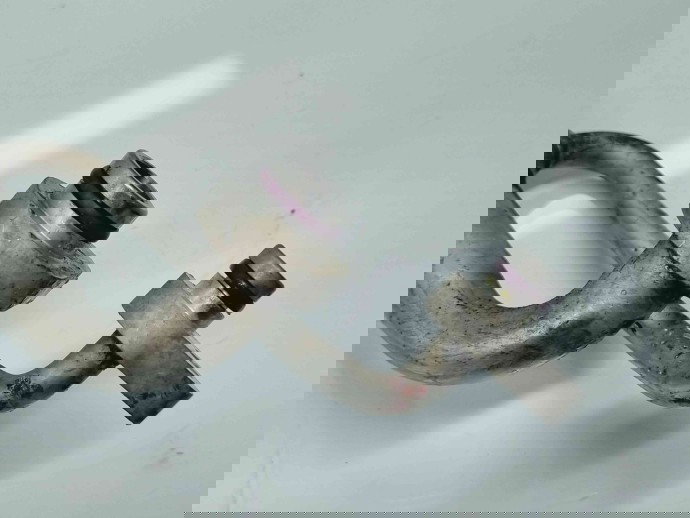 Conducta AC Skoda Octavia 3 (5E3) [Fabr 2012-2020] 5Q2816738B 1.6 TDI CLHA77KW / 105CP 1.6 TDI CLHA 77KW / 105CP