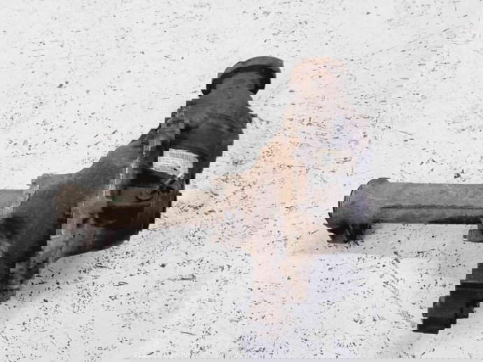 Grup diferential fata LAND ROVER RANGE ROVER SPORT (L320) [Fabr 2005-2009] 5H22-3017-GA 2.7 27DDT 140KW / 190CP