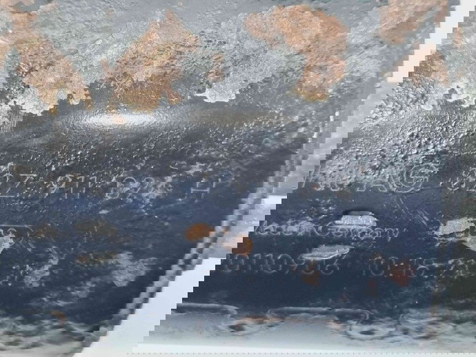   Electromotor 13 dinti Volkswagen Passat B7 (362) [Fabr 2010-2014] 02Z911024H  1.6 TDI CAYC77KW / 105CP  1.6 TDI CAYC77KW / 105CP