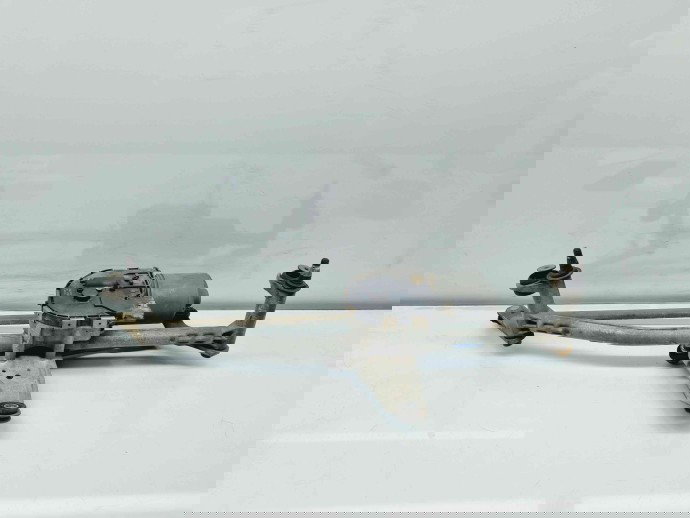   Angrenaj stergator Volkswagen Passat B6 (3C2) [Fabr 2005-2010] 3C1955023D | 3397020924