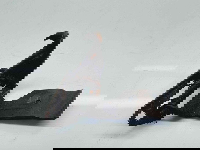 Maner deschidere capota LAND ROVER RANGE ROVER SPORT (L320) [Fabr 2005-2009] FPD500050