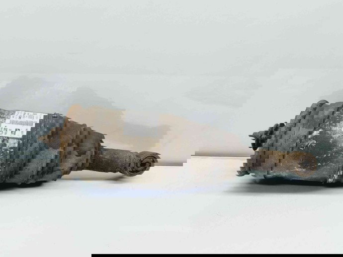 Perna aer dreapta spate LAND ROVER RANGE ROVER SPORT (L320) [Fabr 2005-2009] 5H32-4B418-AD 2.7 27DDT 140KW / 190CP 2.7 27DDT 140KW / 190CP