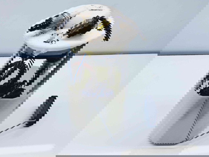 Pompa combustibil Fiat 500s [Fabr 2010-2016] 51806983 1.2 Benz 097010 1.2 Benz 097010 66KW / 90CP