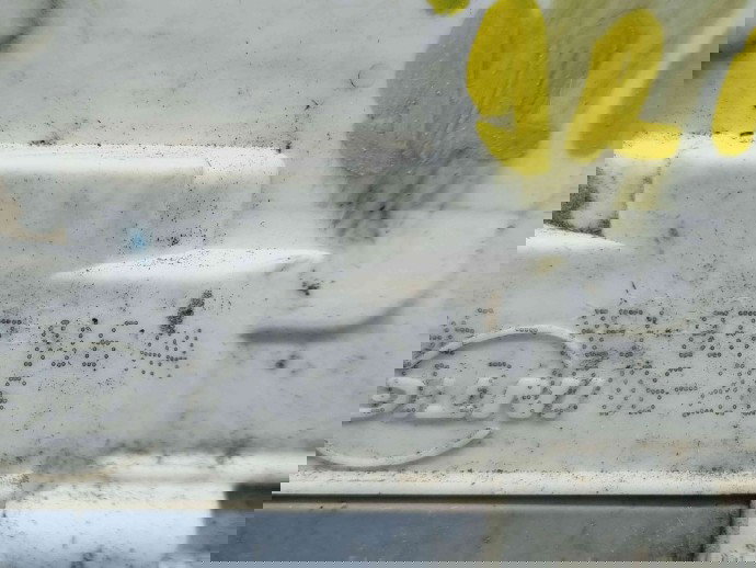 Broasca usa dreapta fata Audi A4 Avant (8ED, B7) [Fabr 2004-2008] 8E1837016AA