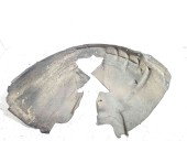 Carenaj roata dreapta fata Audi A5 2.7 CAMA OEM 2007-2015