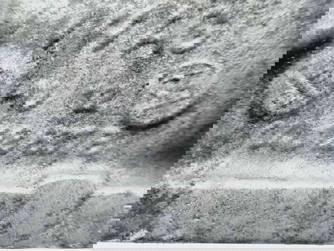 Tub galerie admisie Skoda Octavia 3 (5E3) [Fabr 2012-2020] 04L128632B 1.6 TDI CLHA77KW / 105CP 1.6 TDI CLHA 77KW / 105CP