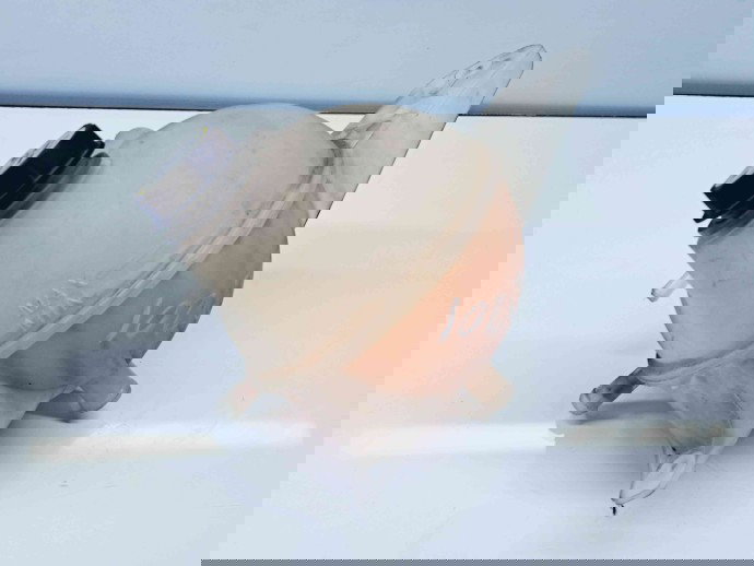 Vas expansiune Ford Transit Custom (TTF) [Fabr 2012-2016] BK21-8K218-AG