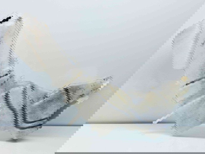   Vas lichid parbriz Ford Kuga I [Fabr 2008-2012] 3M51-13K163-AC