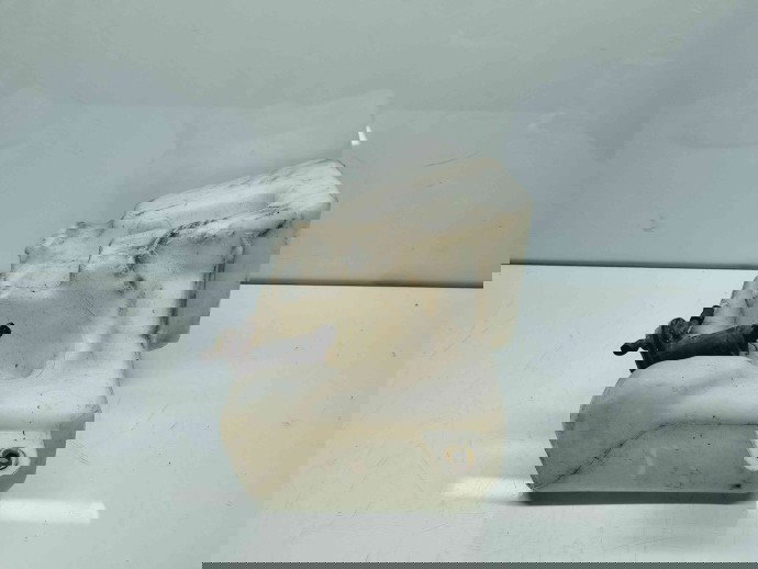   Vas lichid parbriz LAND ROVER RANGE ROVER SPORT (L320) [Fabr 2005-2009] OEM