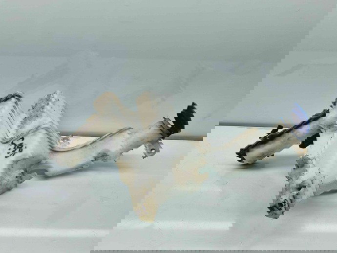   Vas lichid parbriz Volkswagen Passat B6 Variant (3C5) [Fabr 2005-2010] 3C0955453