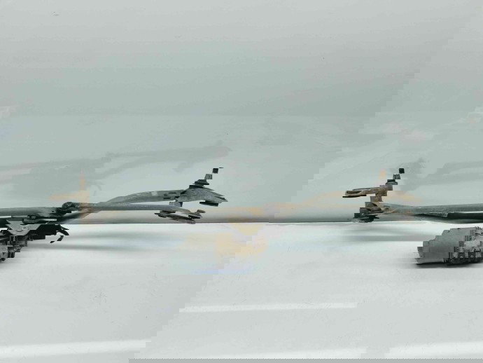   Angrenaj stergator Audi A4 (8EC, B7) [Fabr 2004-2008] 8E1955023E | 3397020845