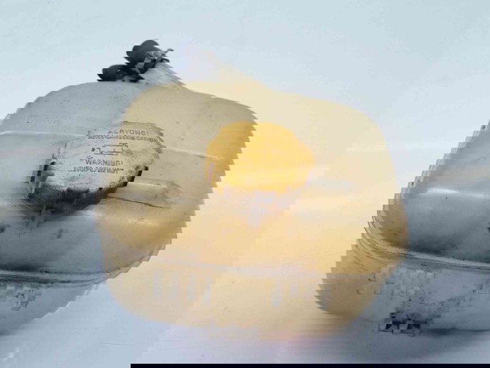 Vas expansiune  Opel Signum [Fabr 2003-2008] 24469940