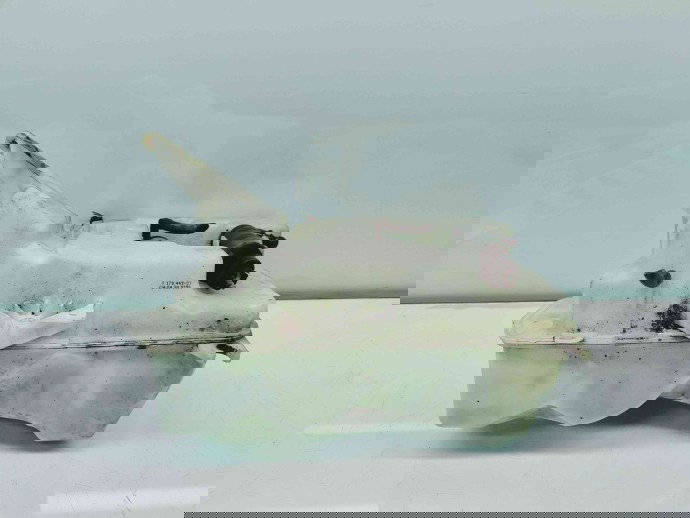   Vas lichid parbriz Bmw 5 (E60) [Fabr 2004-2010] 7179449