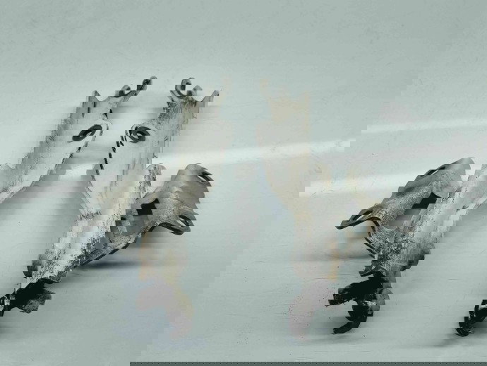 Set balamale capota MAZDA 6 (GJ1) [Fabr 2014-2021] OEM