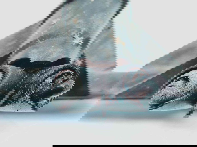   Spalator far stanga Bmw 5 (E60) [Fabr 2004-2010] OEM