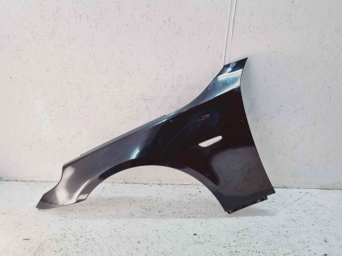 Aripa stanga fata Bmw 5 (E60) [Fabr 2004-2010] SCHWARZ II