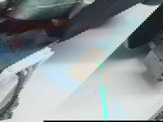   Motoras stergator haion Renault Laguna 3 Combi [Fabr 2007-2015] 287100004R | 0390201831