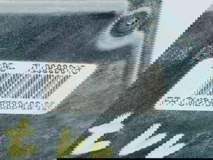 Broasca usa stanga spate Seat Altea (5P1) [Fabr 2004-2010] 7L0839015