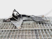 Suport far stanga Audi A1 (8X1) [Fabr 2010-2018] 8X0805607