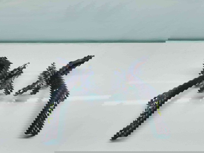 Set balamale capota Renault Laguna 3 Combi [Fabr 2007-2015] 854C10001R | 854CC0001R