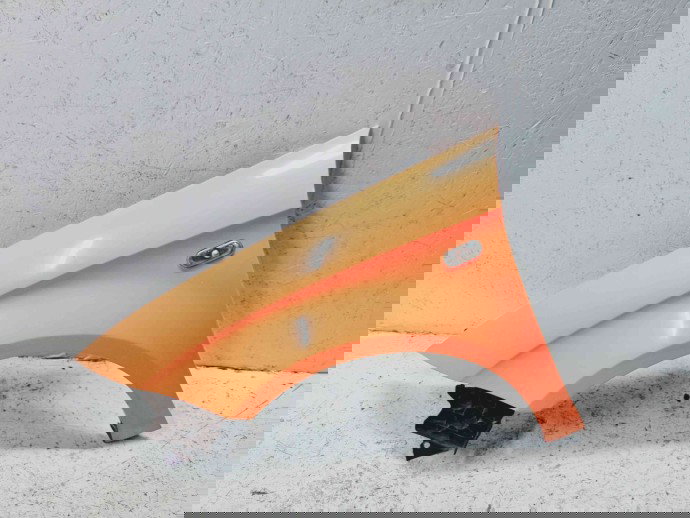 Aripa stanga fata Seat Altea (5P1) [Fabr 2004-2010] LS5G