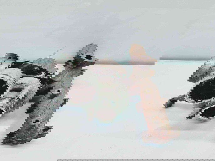 Turbina Seat Altea (5P1) [Fabr 2004-2010] EVTC0004 1.9 TDI BJB77KW / 105CP 1.9 TDI BJB 77KW / 105CP