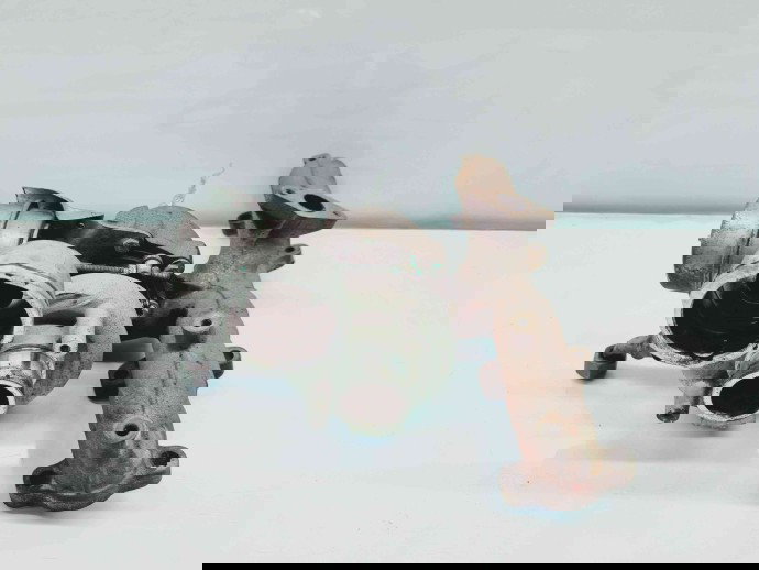 Turbina Seat Altea (5P1) [Fabr 2004-2010] EVTC0004 1.9 TDI BJB77KW / 105CP