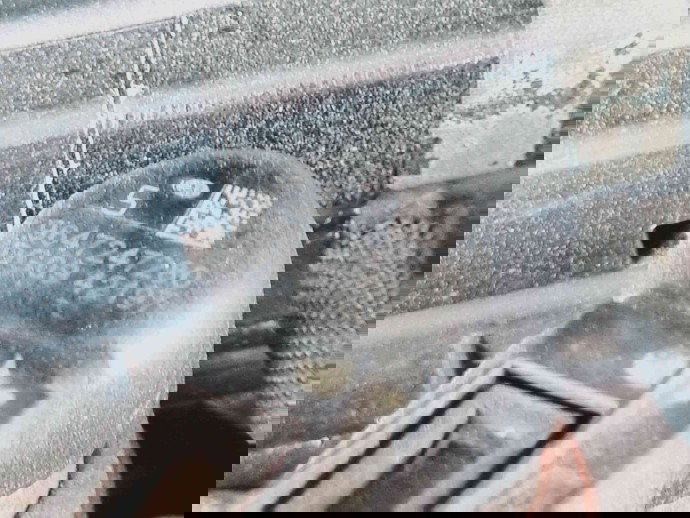 Injector Peugeot 407 [Fabr 2004-2010] 9647247280 2.0 HDI RHR