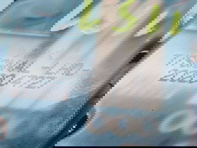   Maneta semnalizare Hyundai Santa Fe 2 (CM) [Fabr 2005-2012] 202004727