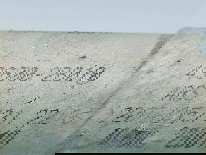 Planetara dreapta spate Hyundai Santa Fe 2 (CM) [Fabr 2005-2012] 49600-2B010 2.2 D4EB 114KW / 155CP