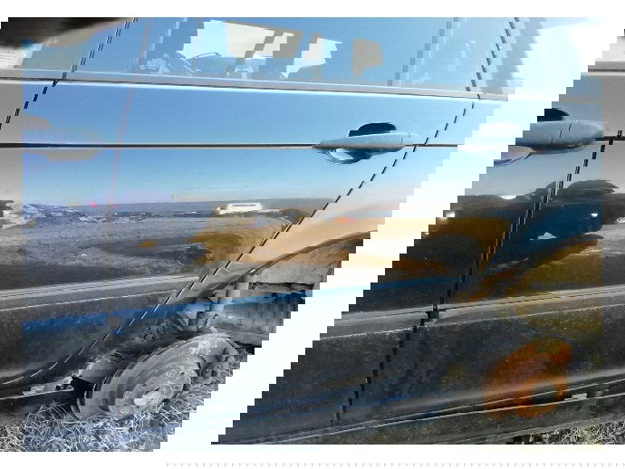 Usa stanga spate BMW Seria 3[E46] 2.0 diesel 320D OEM 2000-2005