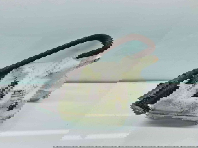   Vas lichid parbriz Bmw 5 (E60) [Fabr 2004-2010] 7179449