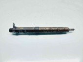 Injector PEUGEOT 3008 [Fabr 2009-2016] 9686191080 2.0 TDCI TXMA120KW / 163CP