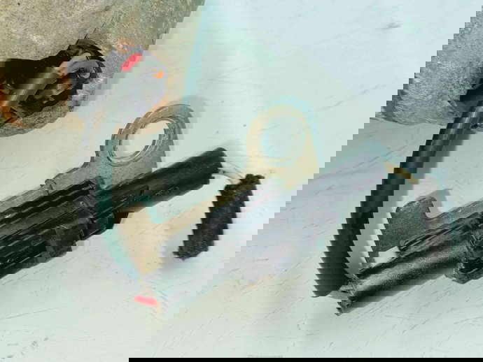 Compresor clima LAND ROVER DISCOVERY 3 (L319) [Fabr 2005-2009] JPB000183 | 447180-8383 2.7 27DDT140KW / 190CP