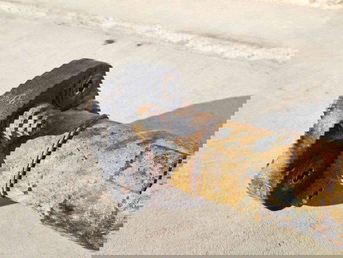 Cardan Hyundai Santa Fe 2 (CM) [Fabr 2005-2012] 49300-2B500   