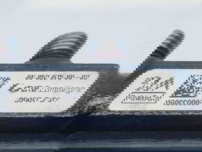 Rampa injectoare PEUGEOT 307 [Fabr 2000-2008] 9685297580 1.6 TDCI T3DA 84KW / 115CP